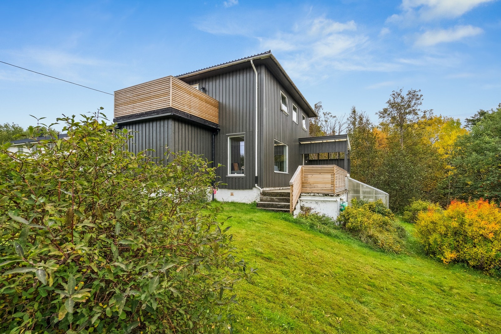 Frodig hage. Galleribilde