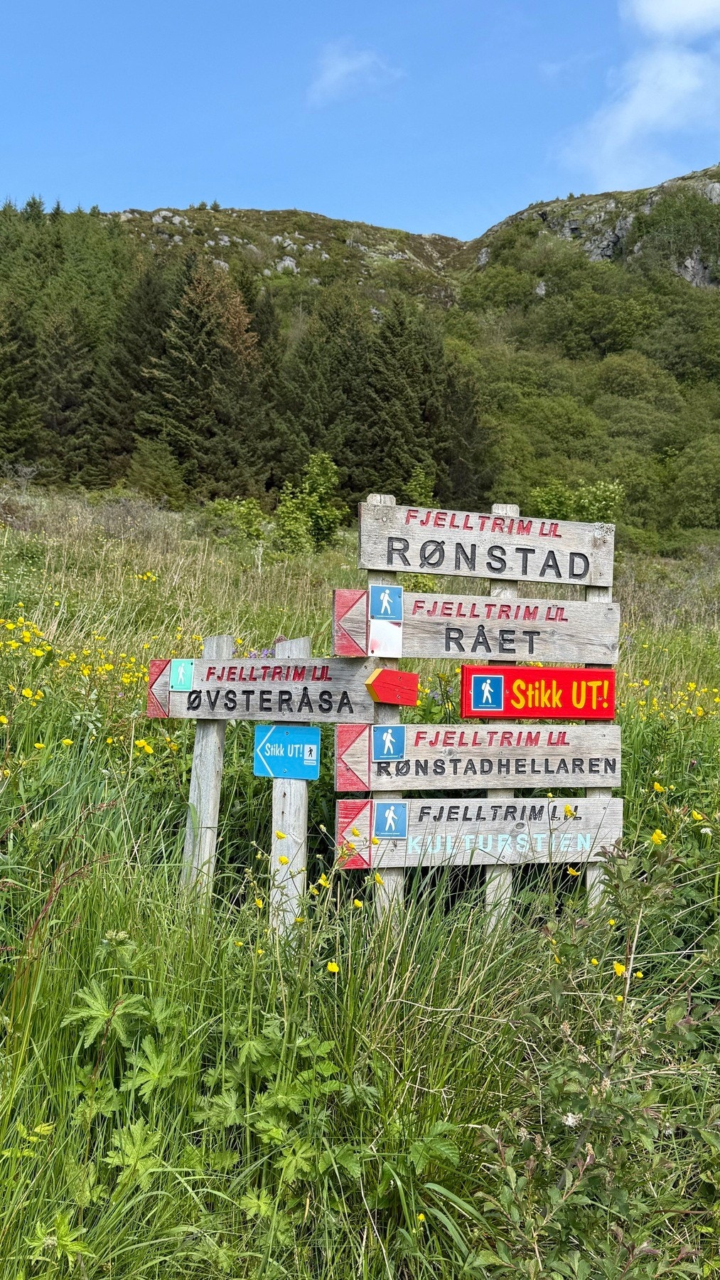 Nærområdet byr ikke bare på nærhet til fantastiske sjøområder, men også flotte turstier. Galleribilde