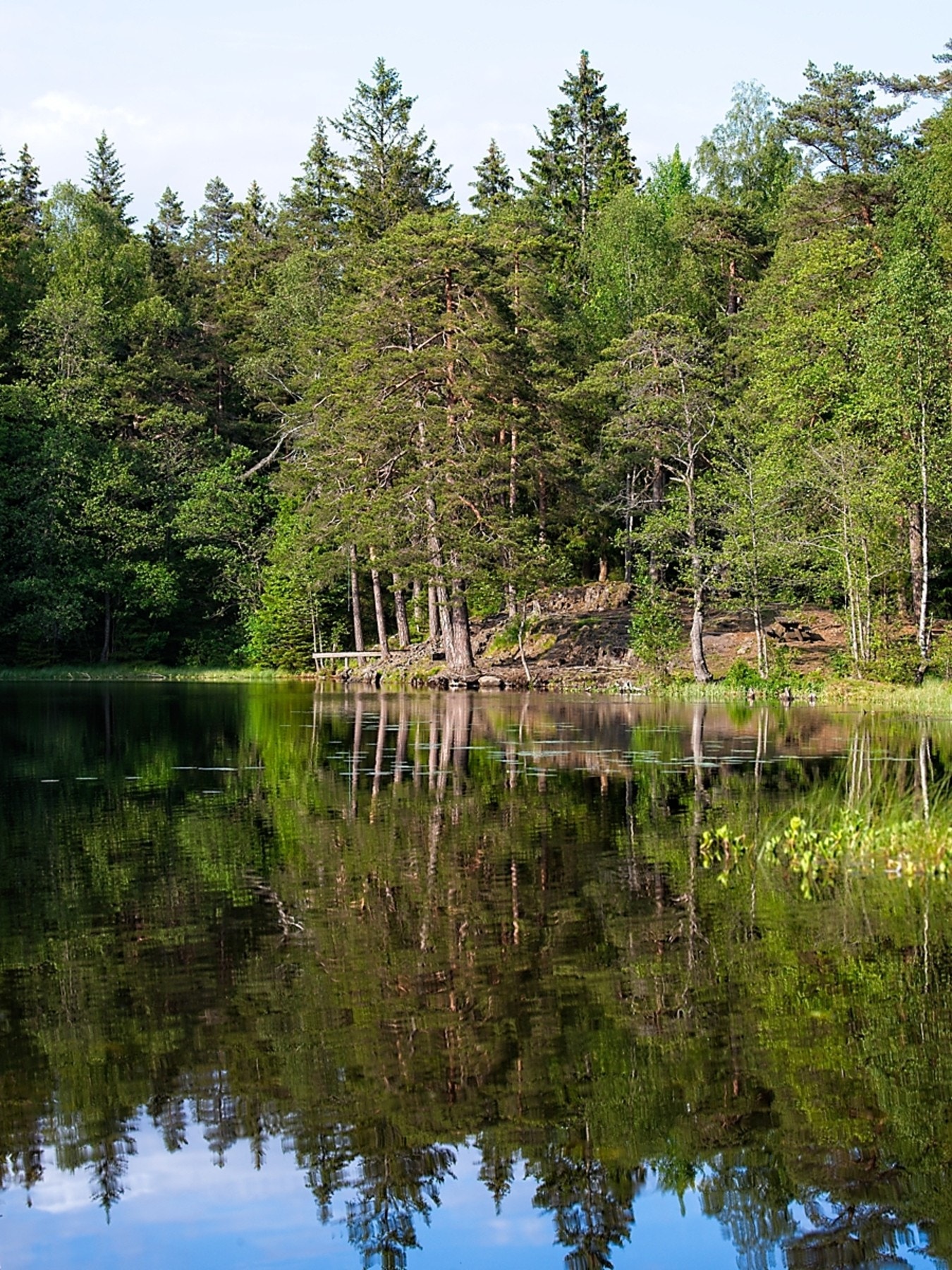 En liten tur opp i skogen finner du Bonntjern - en herlig badeplass. Galleribilde