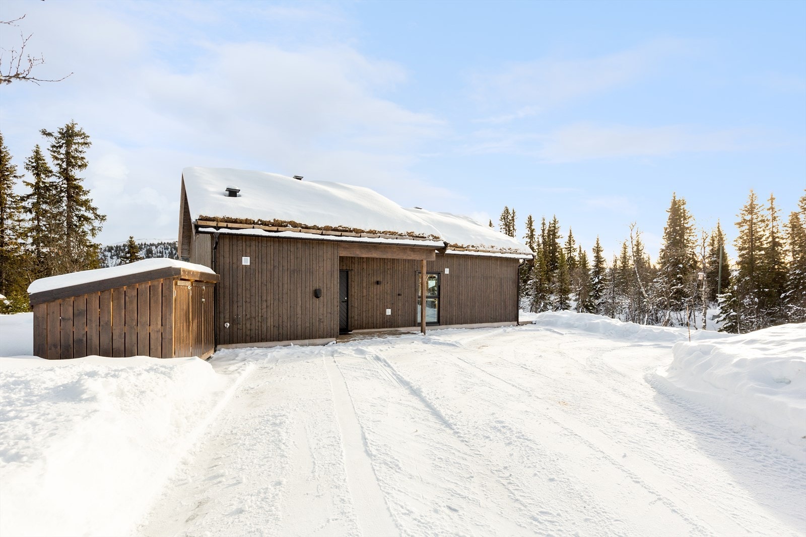 Frittstående vedskjul. Galleribilde