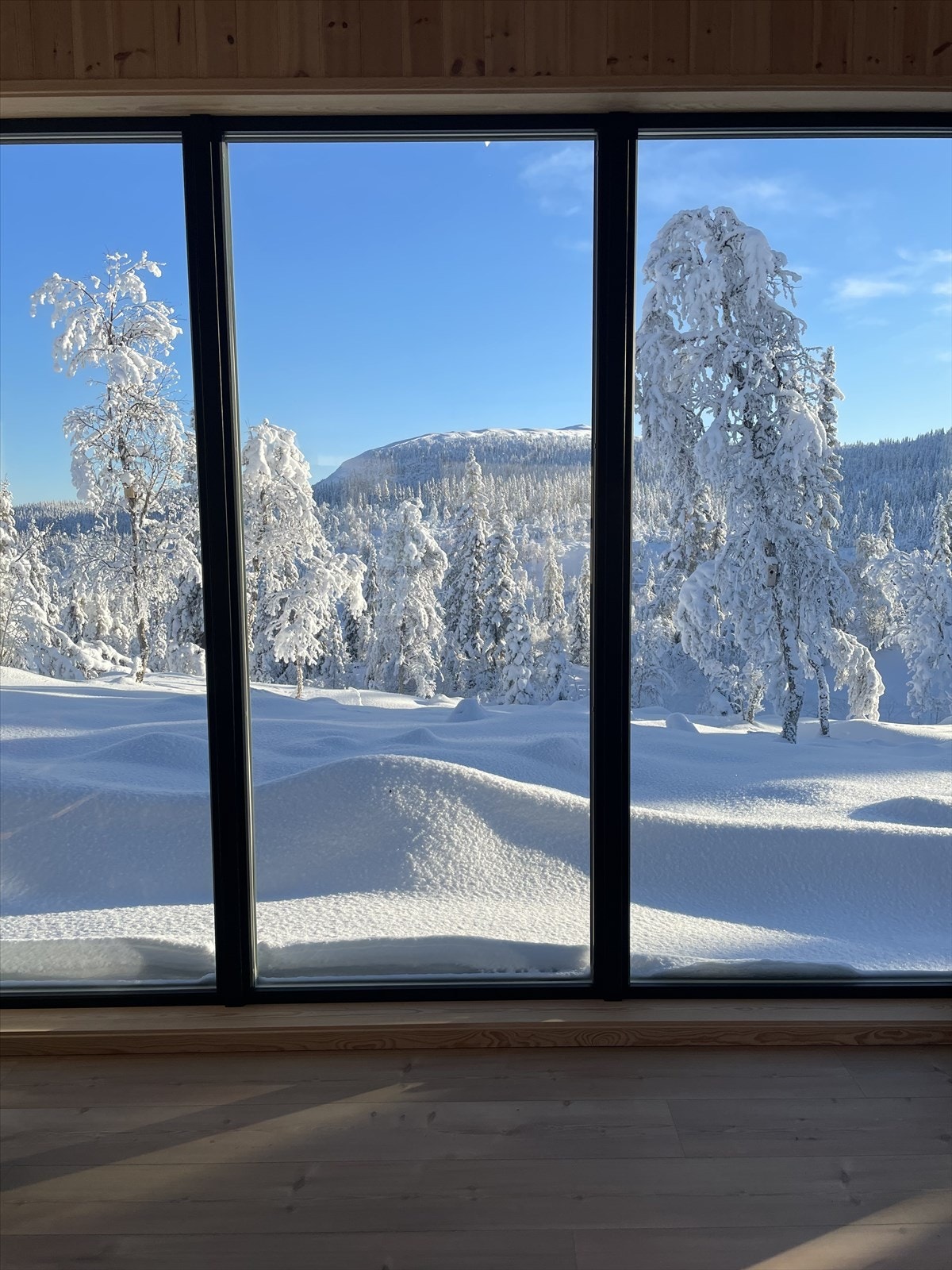 Selgers foto fra vinterlandskapet utenfor vinduet. Galleribilde
