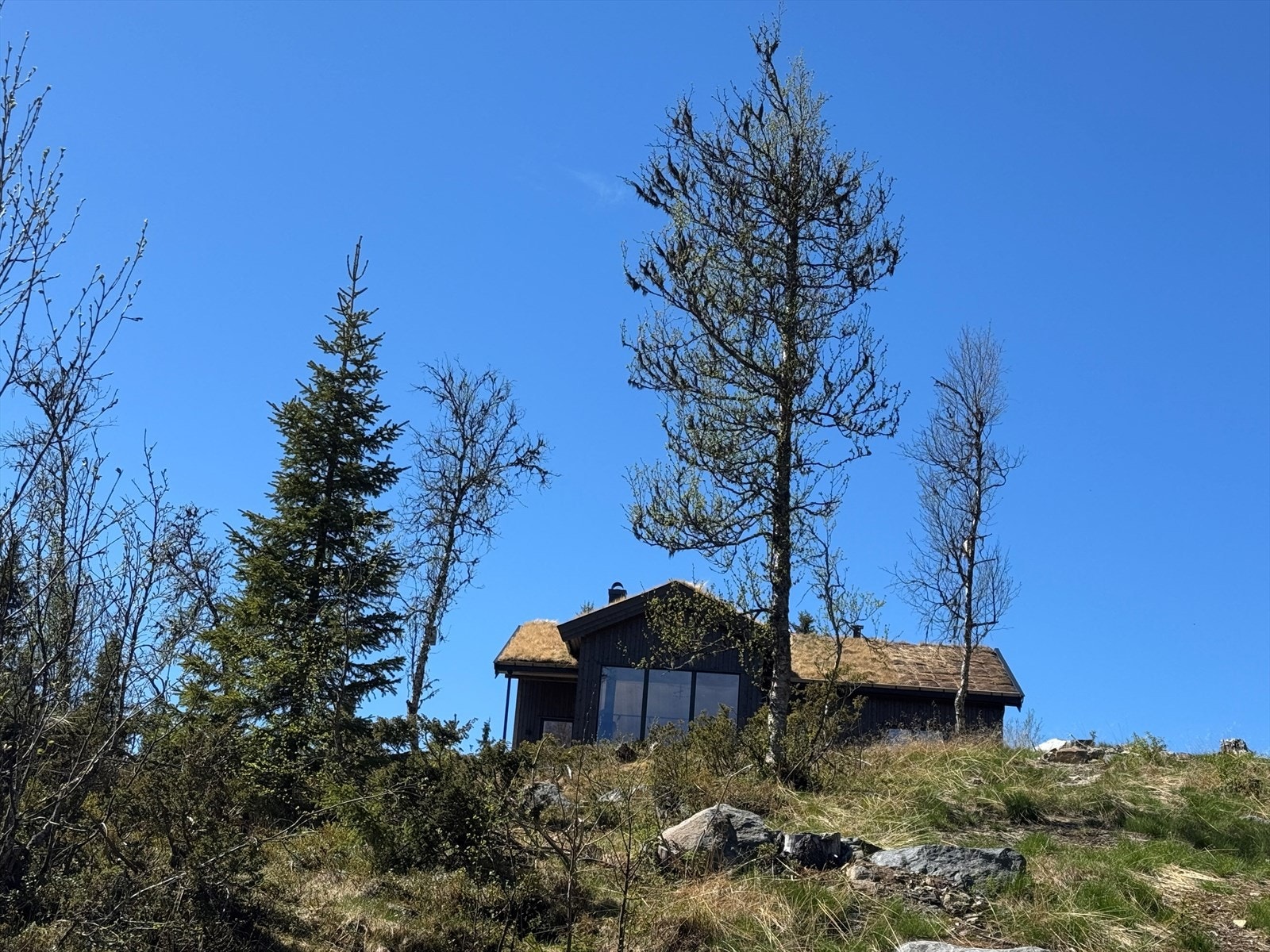 Selgers eget bilde. Galleribilde