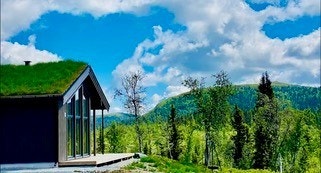 Selgers eget sommerbilde Galleribilde