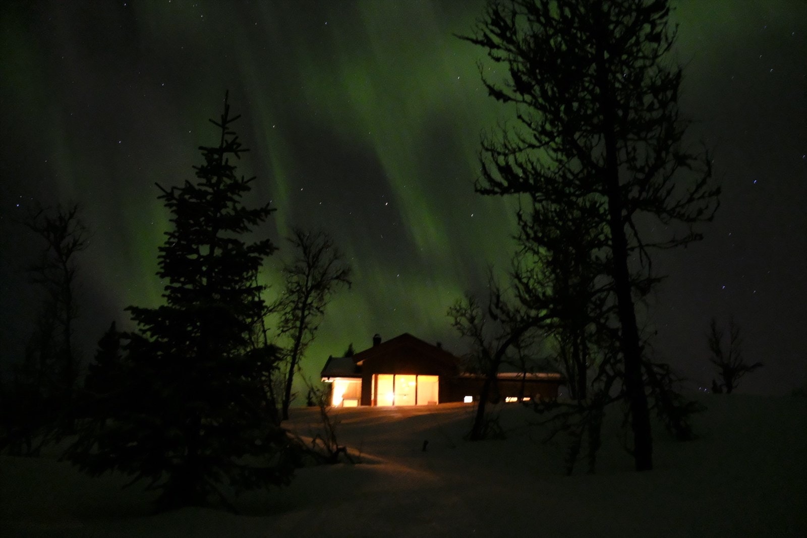 Nordlys over eiendommen, selgers eget bilde. Galleribilde
