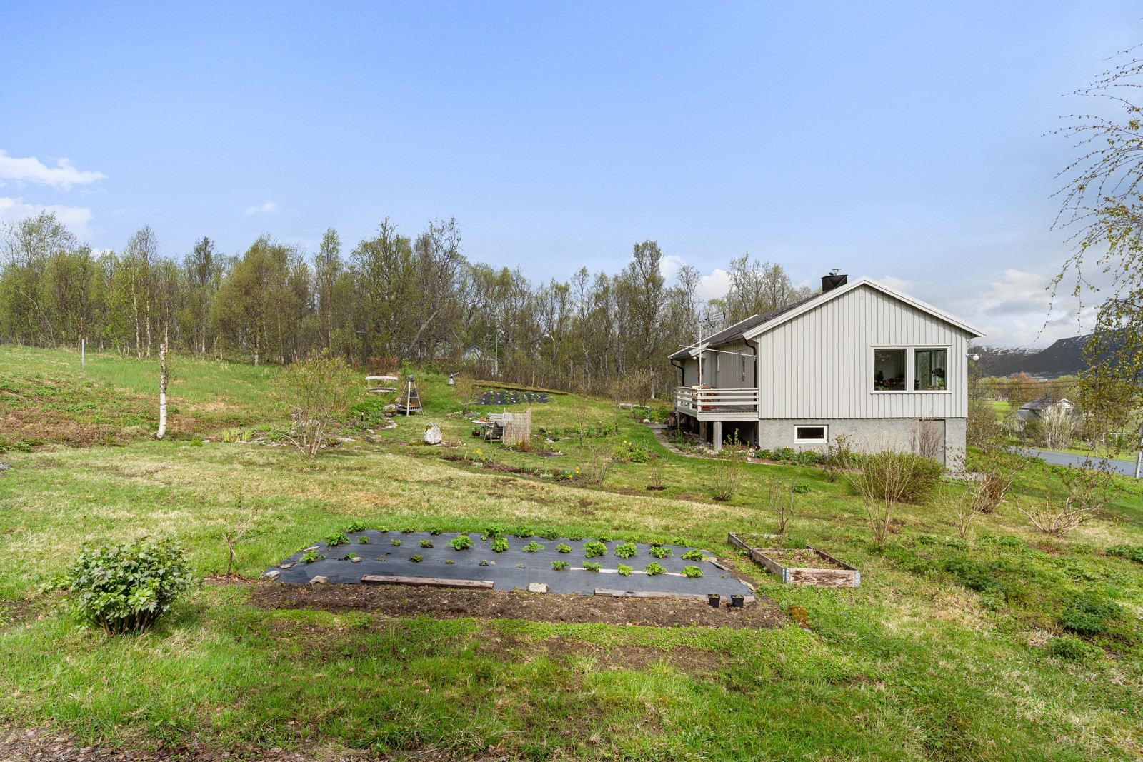 Her dyrkes potet og jordbær i år, samt noen herdige urter som kommer opp hvert år!