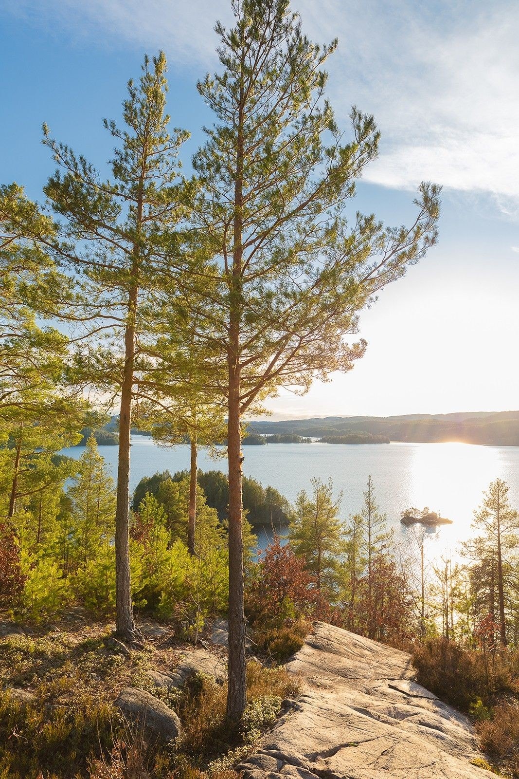 Innsjøen Toke Galleribilde