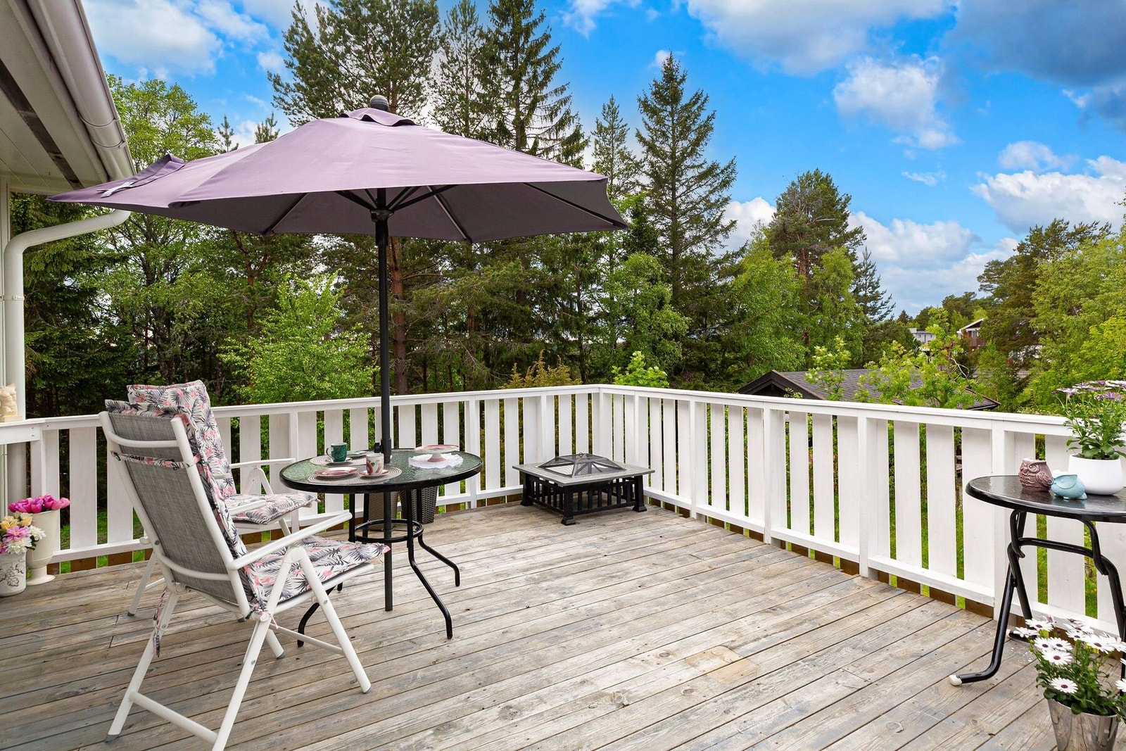 Boligen har delvis naturtomt og her er det et rikt dyreliv Galleribilde