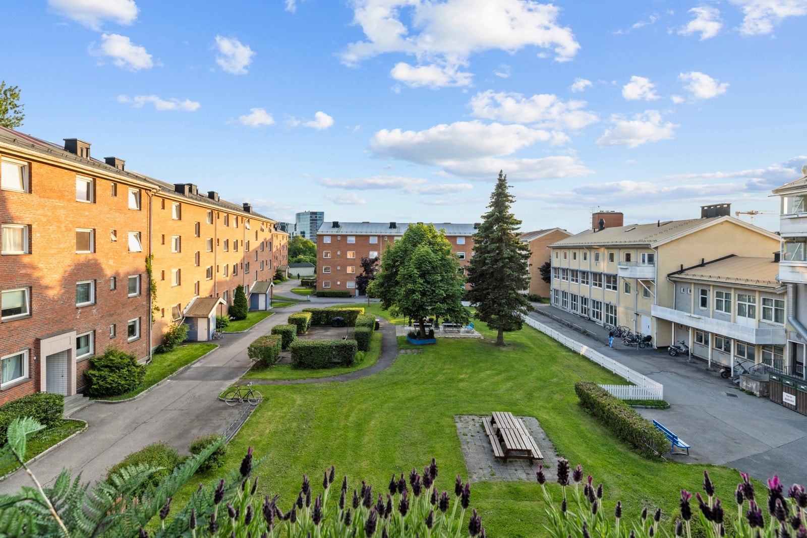 Utsikt på formiddagen Galleribilde