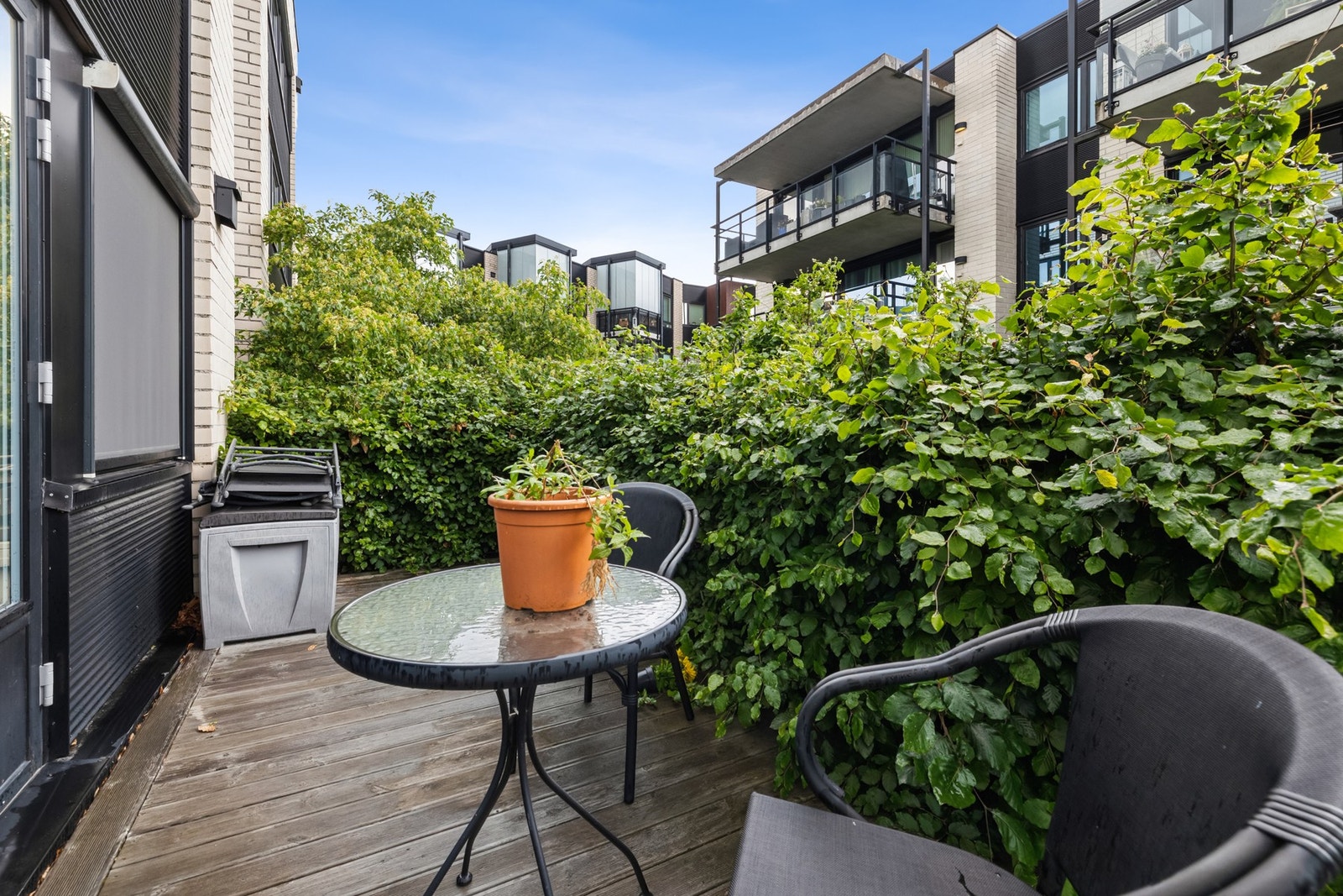 Terrassen er skjermet med beplantning. Galleribilde