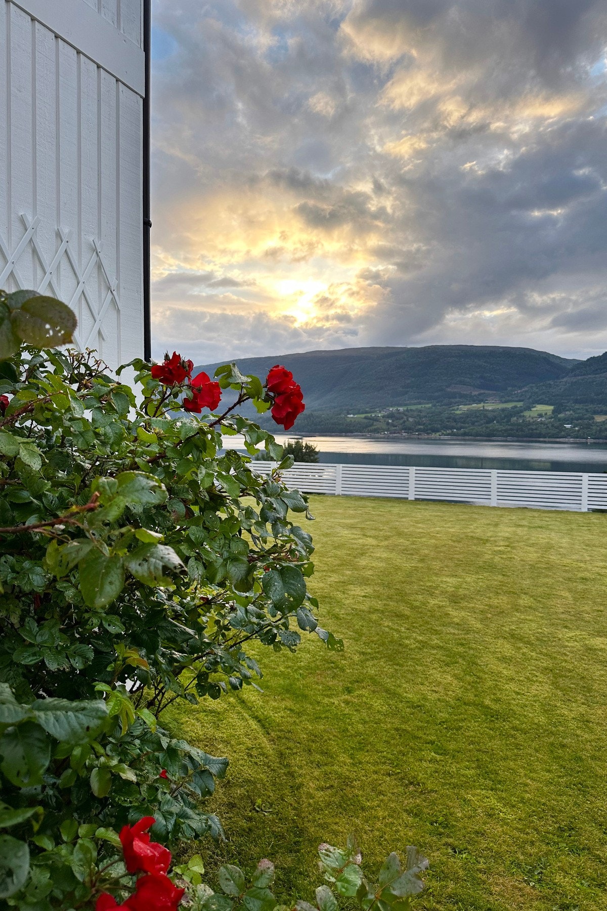 Sommerbilde. Galleribilde