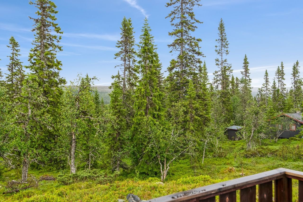 Utsikt og terrasse Galleribilde