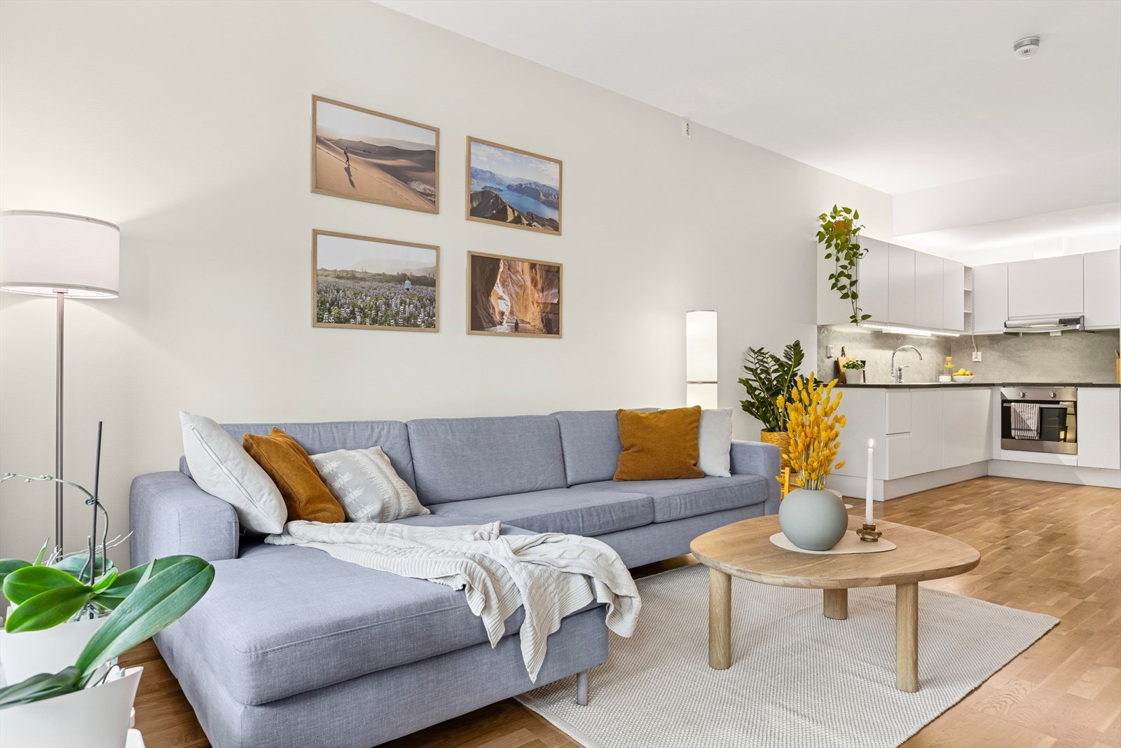 Det er god plass til å møblere med sofa, TV-møblement og andre nødvendige møbler. Galleribilde