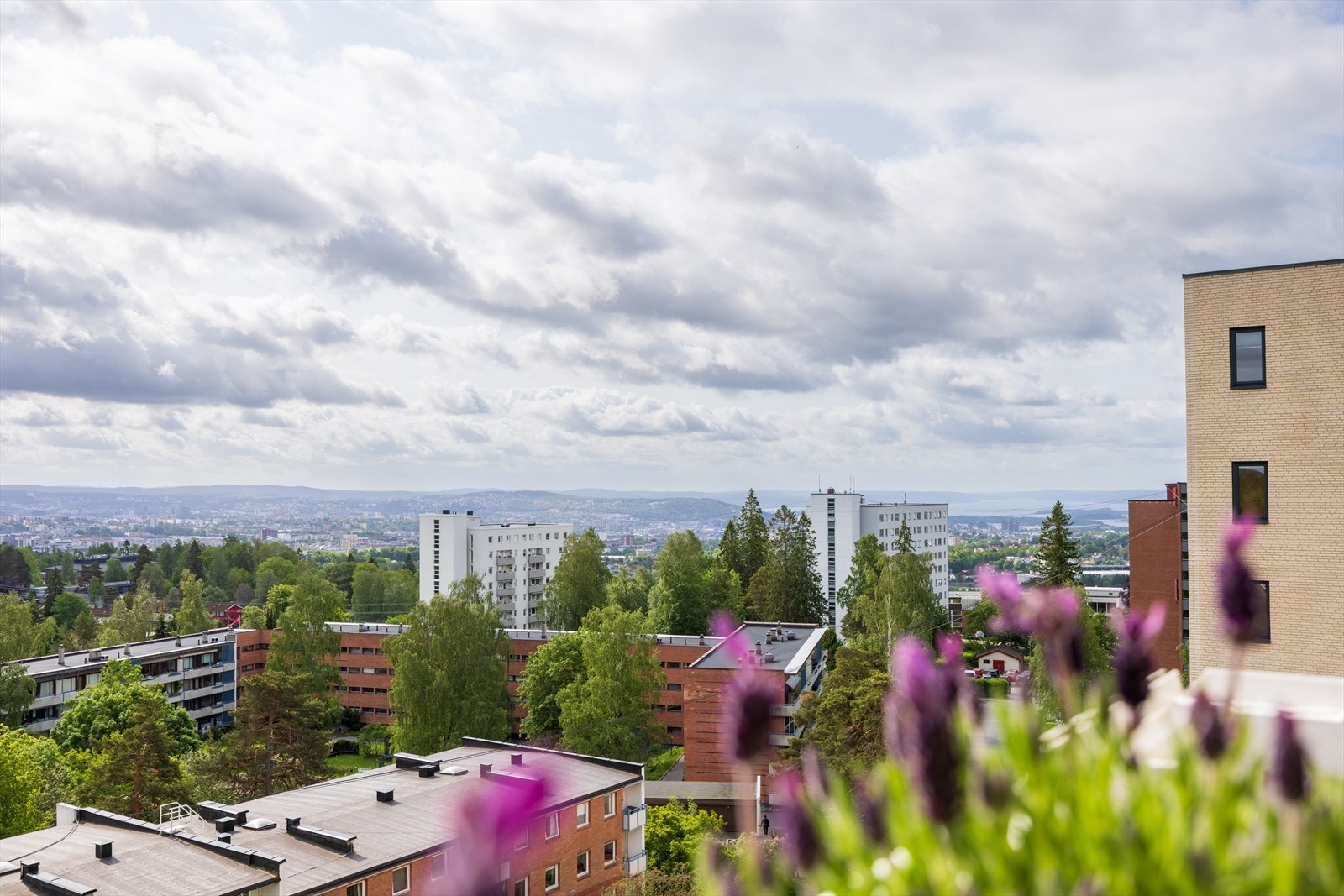 Boligen ligger i 8. etasje og har fantastisk utsikt utover Oslo Galleribilde