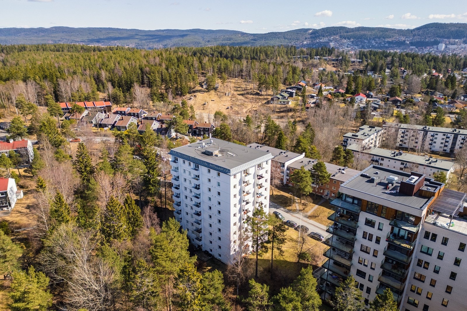 "Flere i blokka eier hund, og det er mange som går tur med hundene sine i området" - Selger Galleribilde