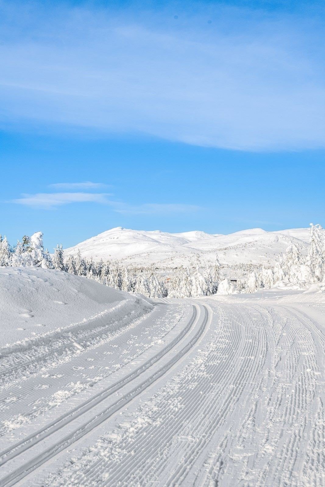 Lifjell har 80 km med velpreparerte skiløyper – alt fra lette og barnevennlige turer til mer utfordrende løyper på høyfjellet. Galleribilde