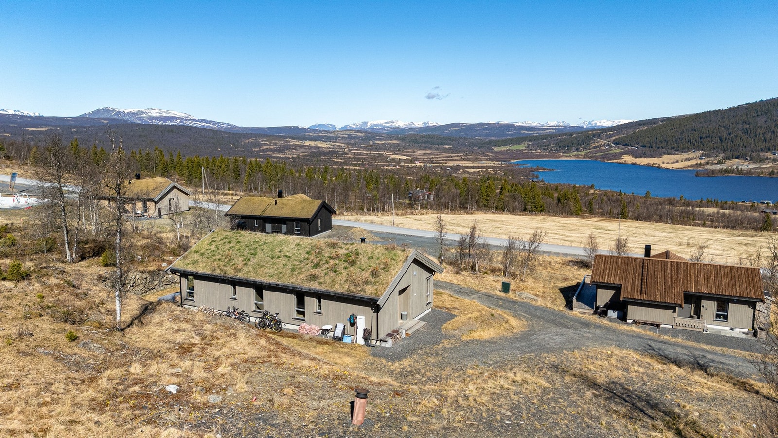 Gode solforhold sommerstid Galleribilde