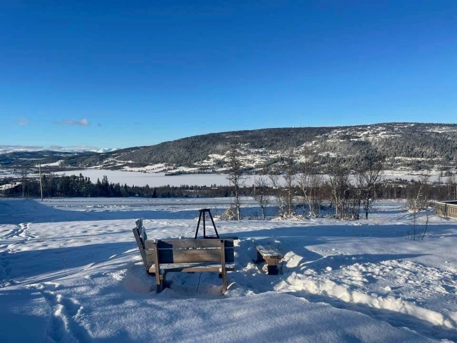 Bilde fra selgers arkiv Galleribilde