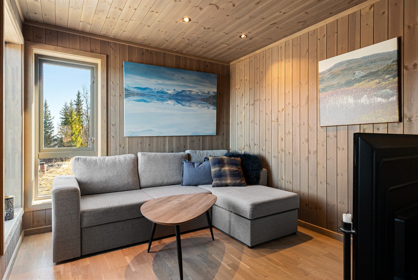 TV-stue Galleribilde