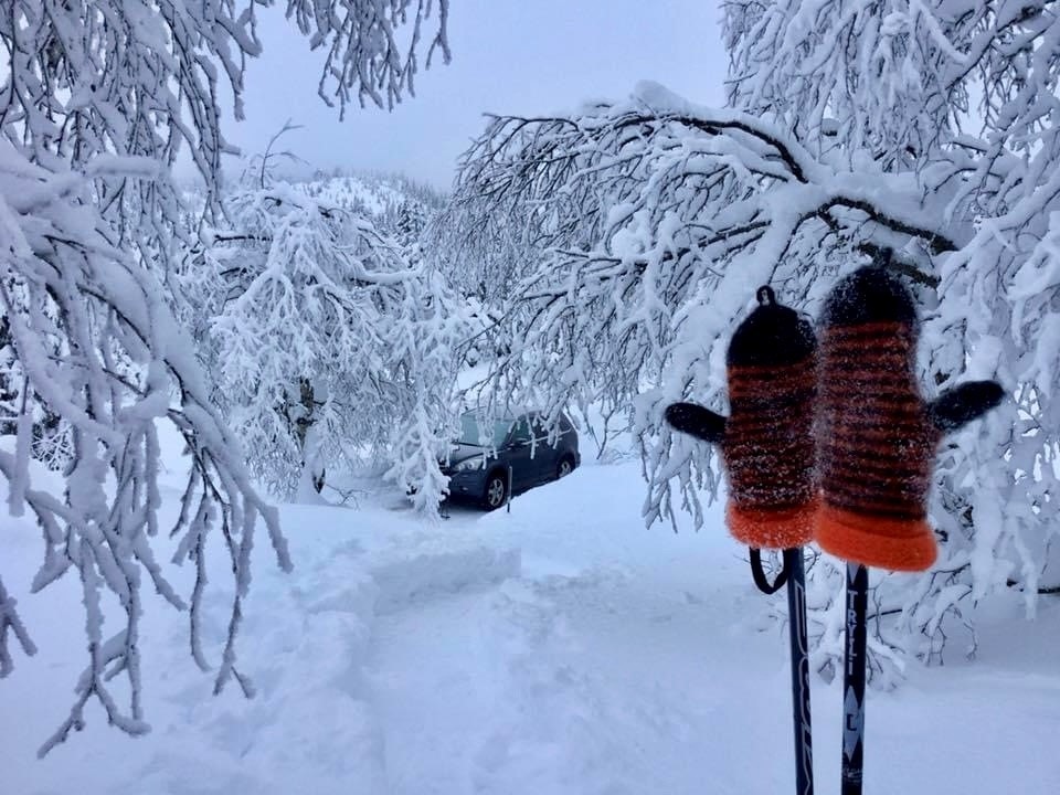 Selgers bilde. Galleribilde