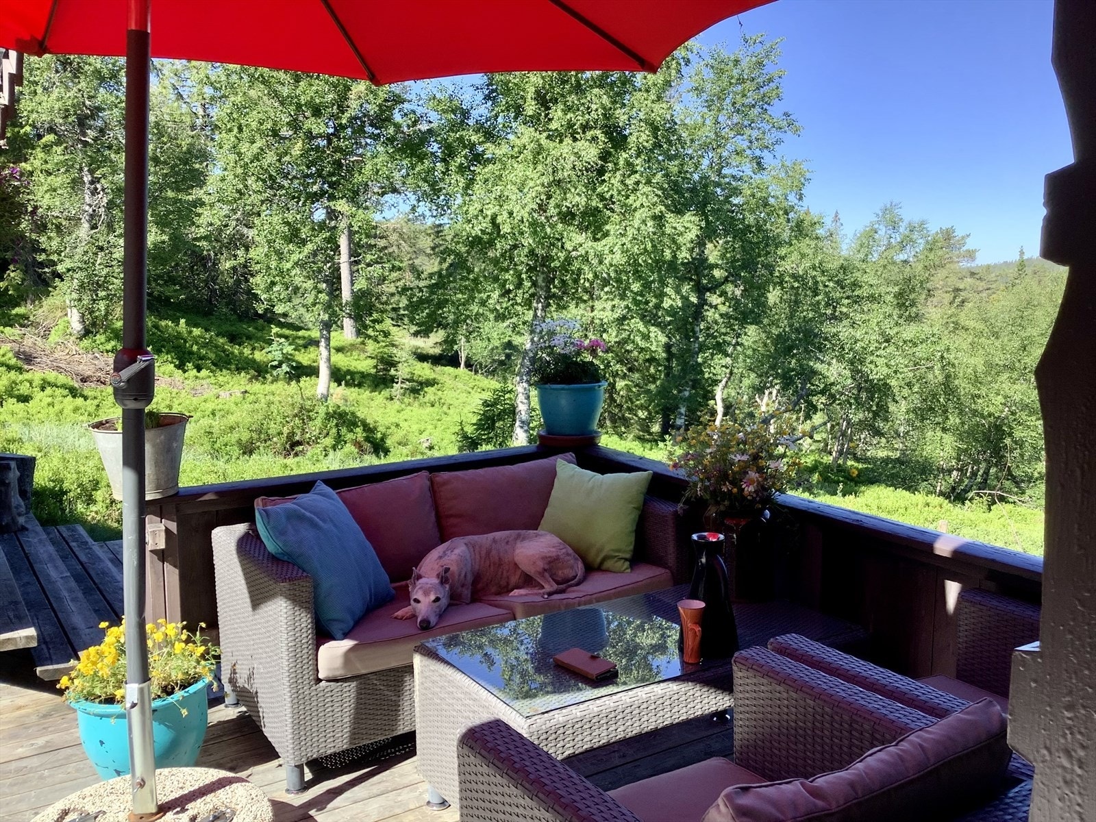 Selgers bilde. Galleribilde