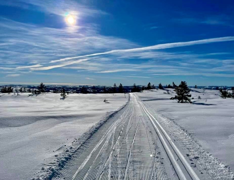 Selgers bilde. Galleribilde