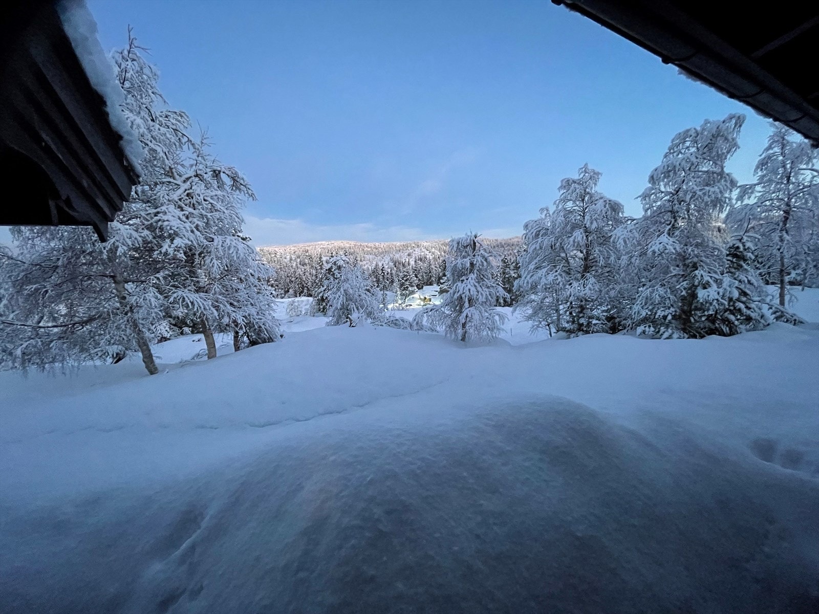 Selgers bilde. Galleribilde