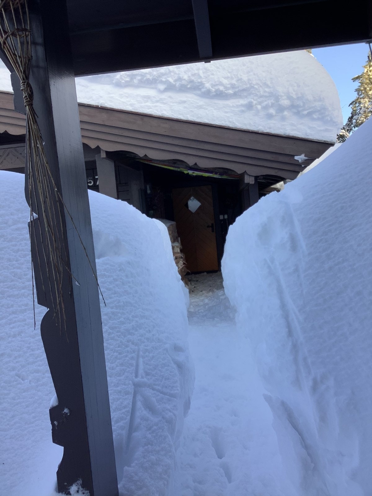 Selgers bilde. Galleribilde