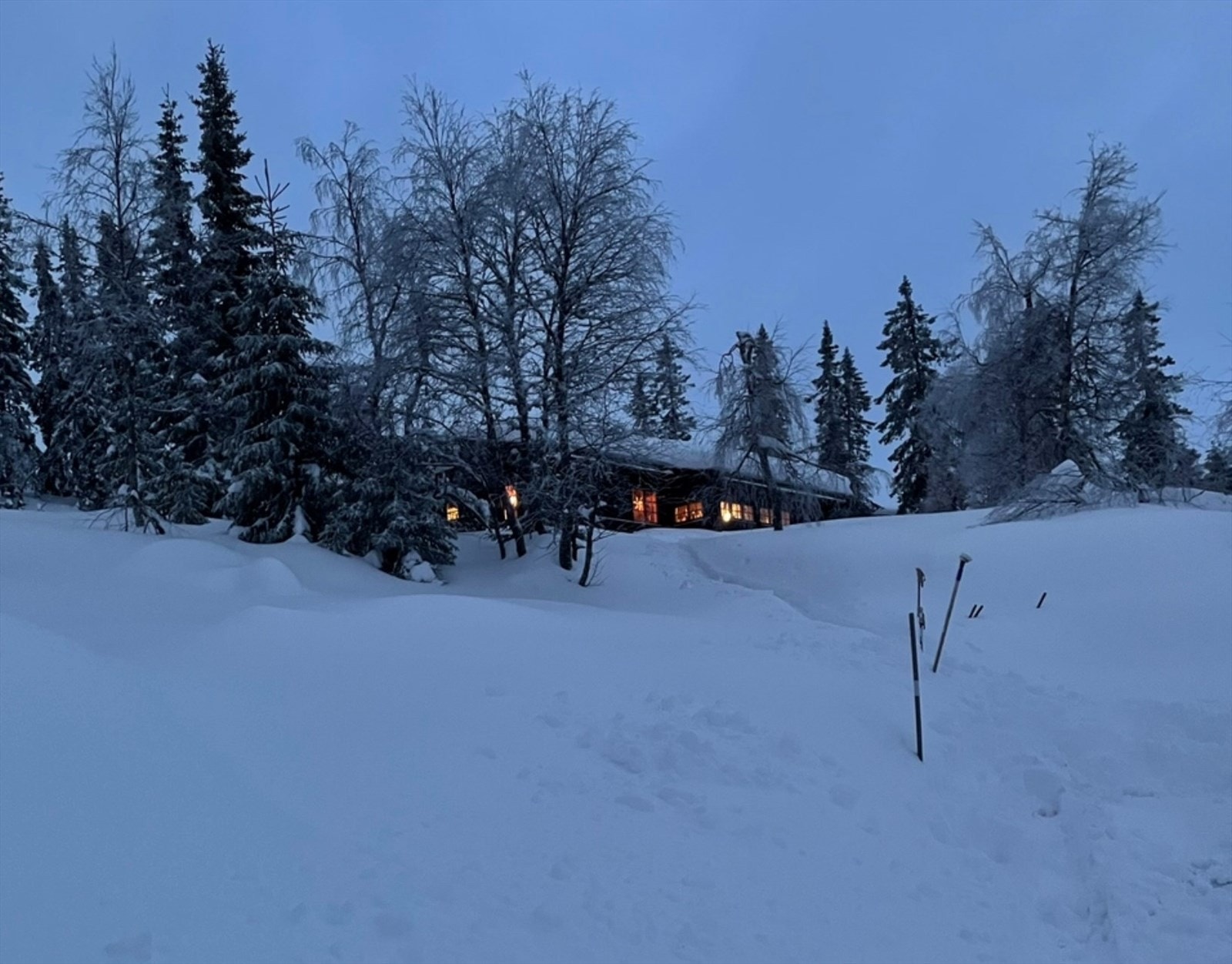 Selgers bilde. Galleribilde