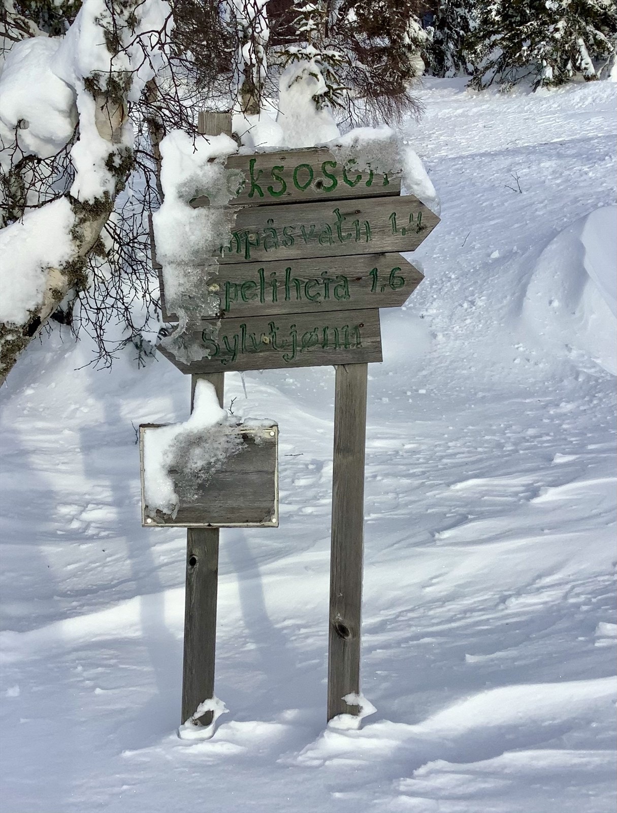 Selgers bilde. Galleribilde