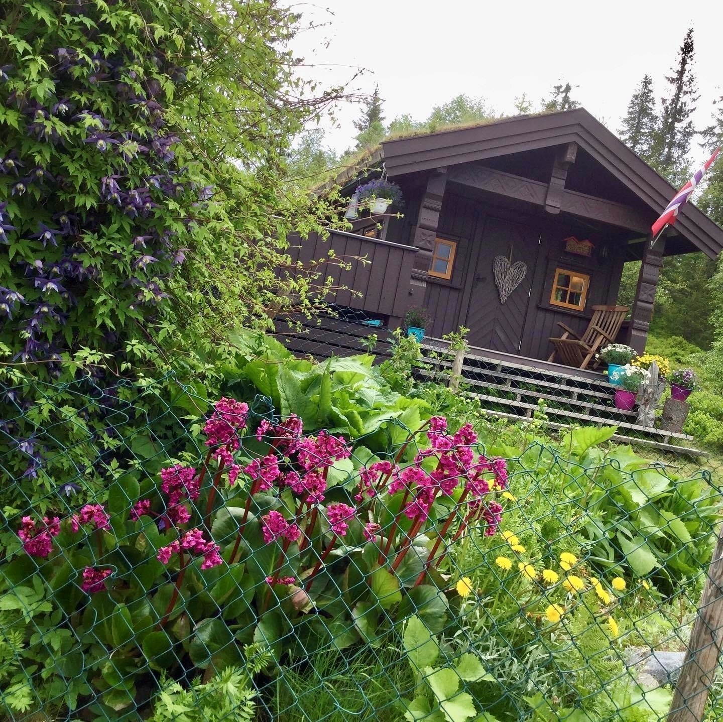 Selgers egne bilder. Galleribilde