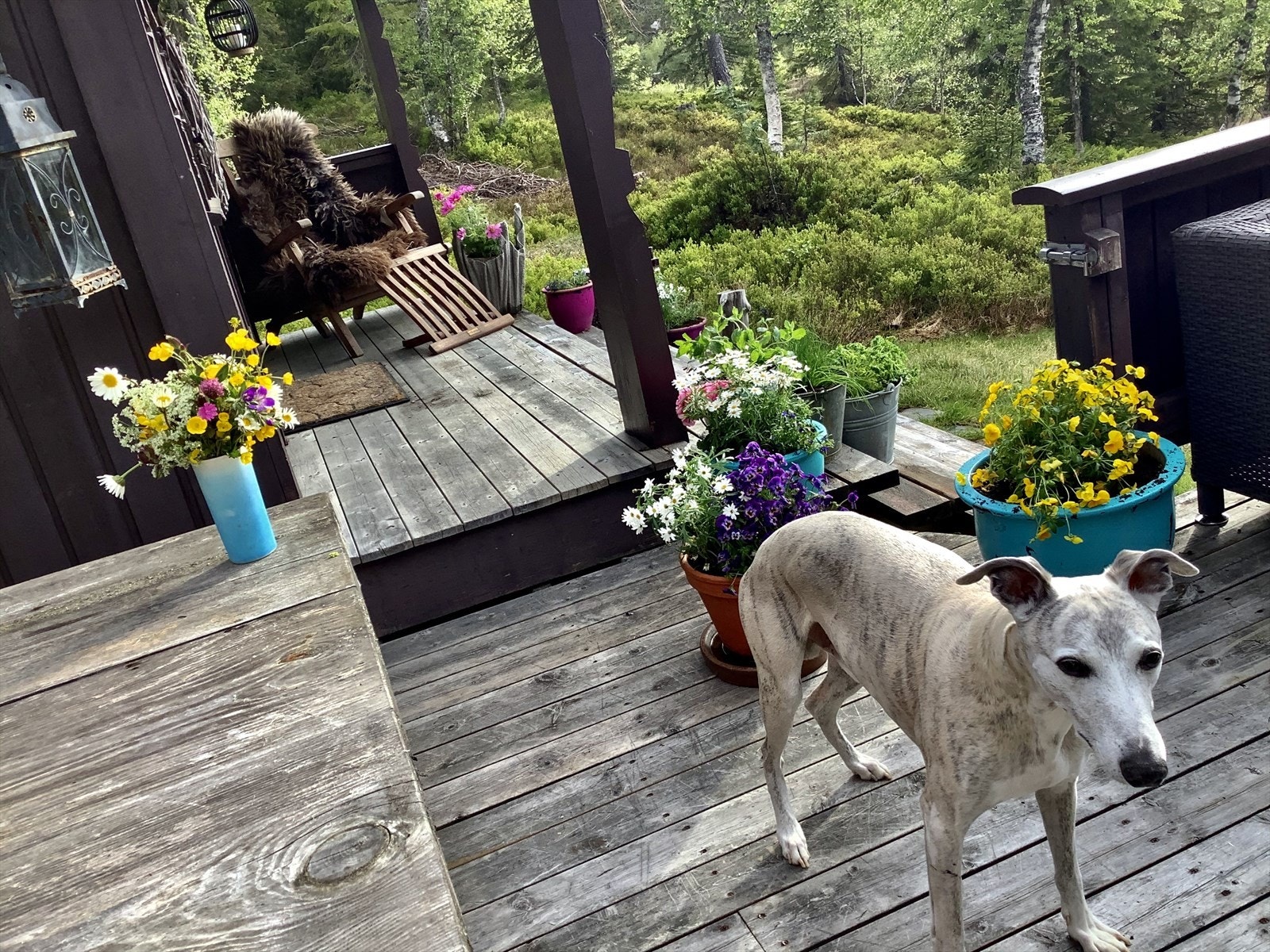 Selgers bilde. Galleribilde