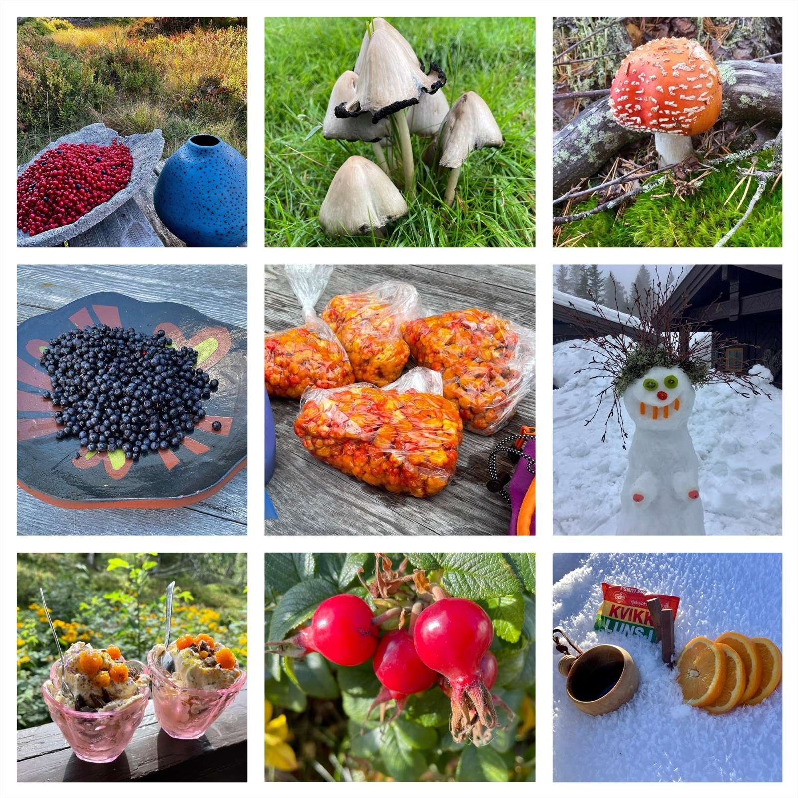 Selgers bilde. Galleribilde