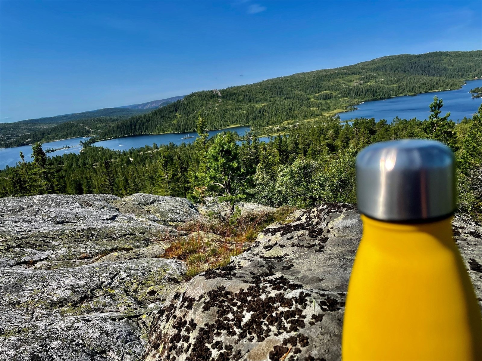 Selgers bilde. Galleribilde