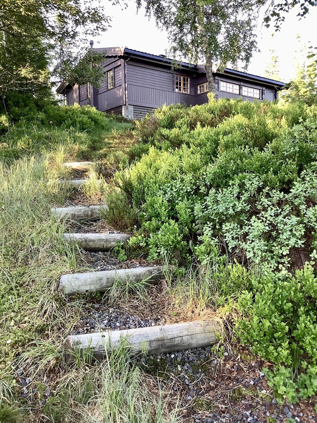 Selgers bilde. Galleribilde