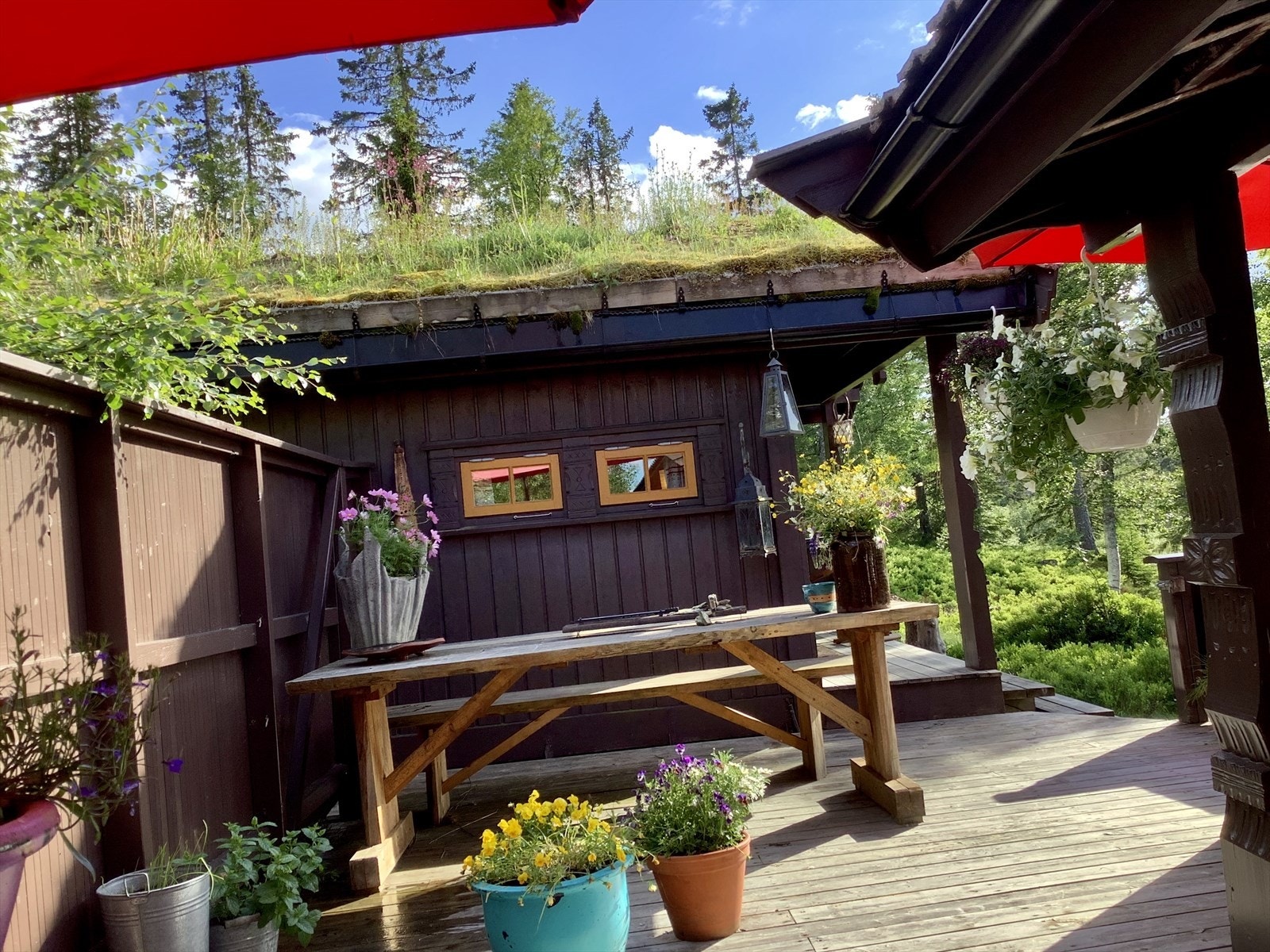 Selgers bilde. Galleribilde