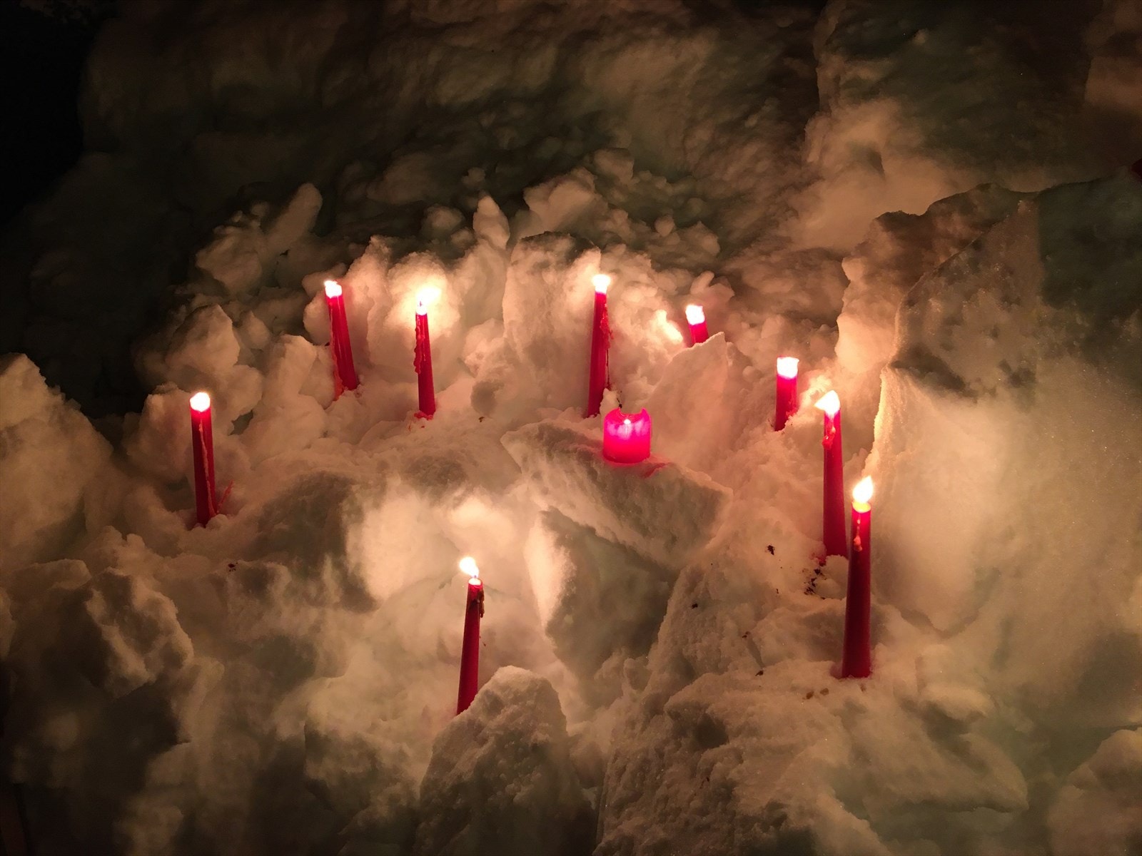 Selgers bilde. Galleribilde