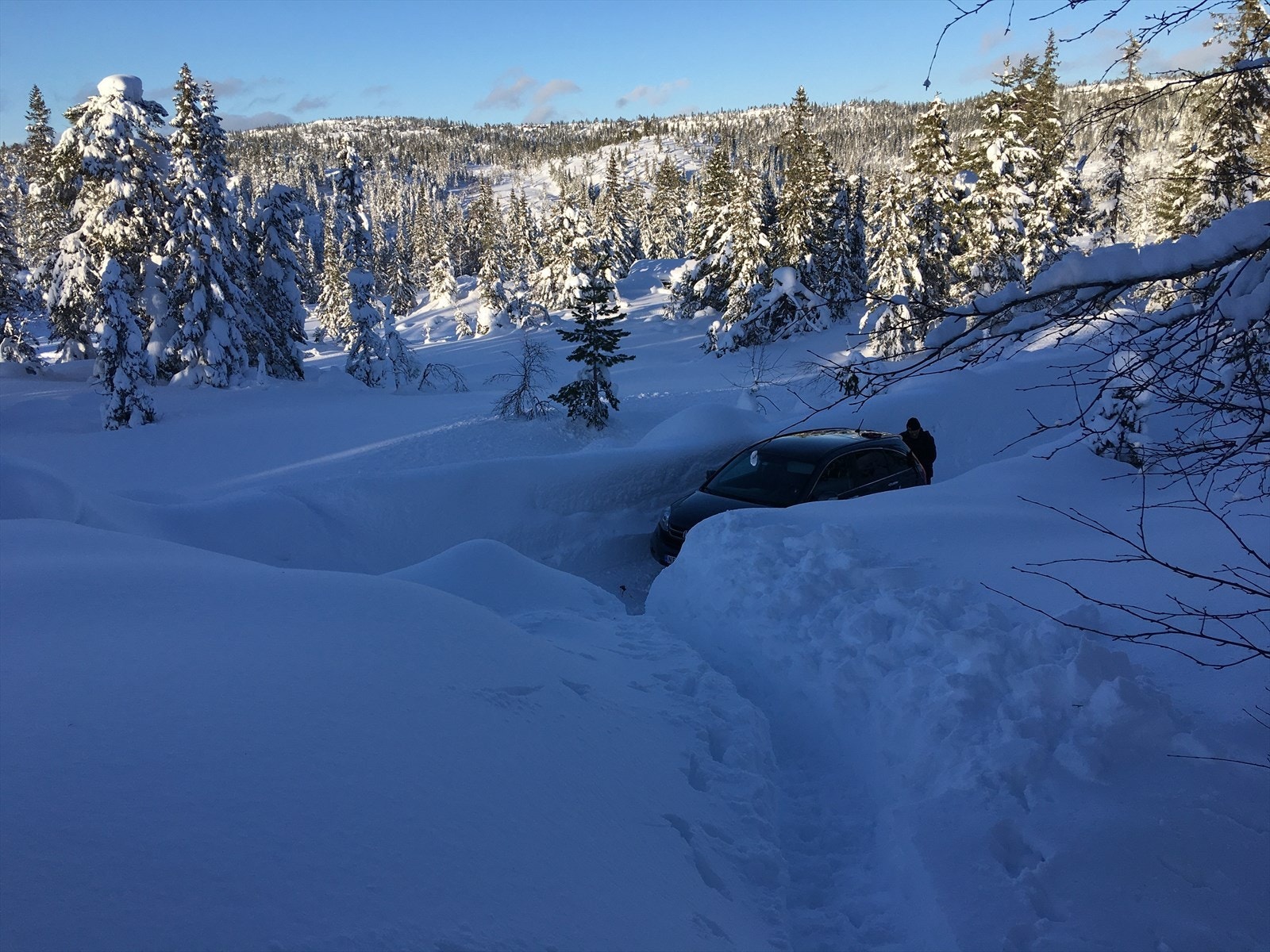 Selgers bilde. Galleribilde