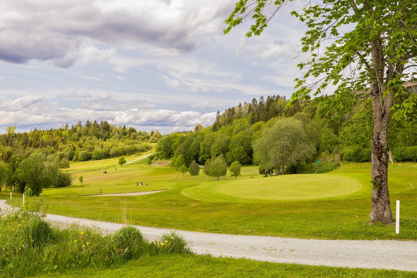 Velkommen til visning! Galleribilde