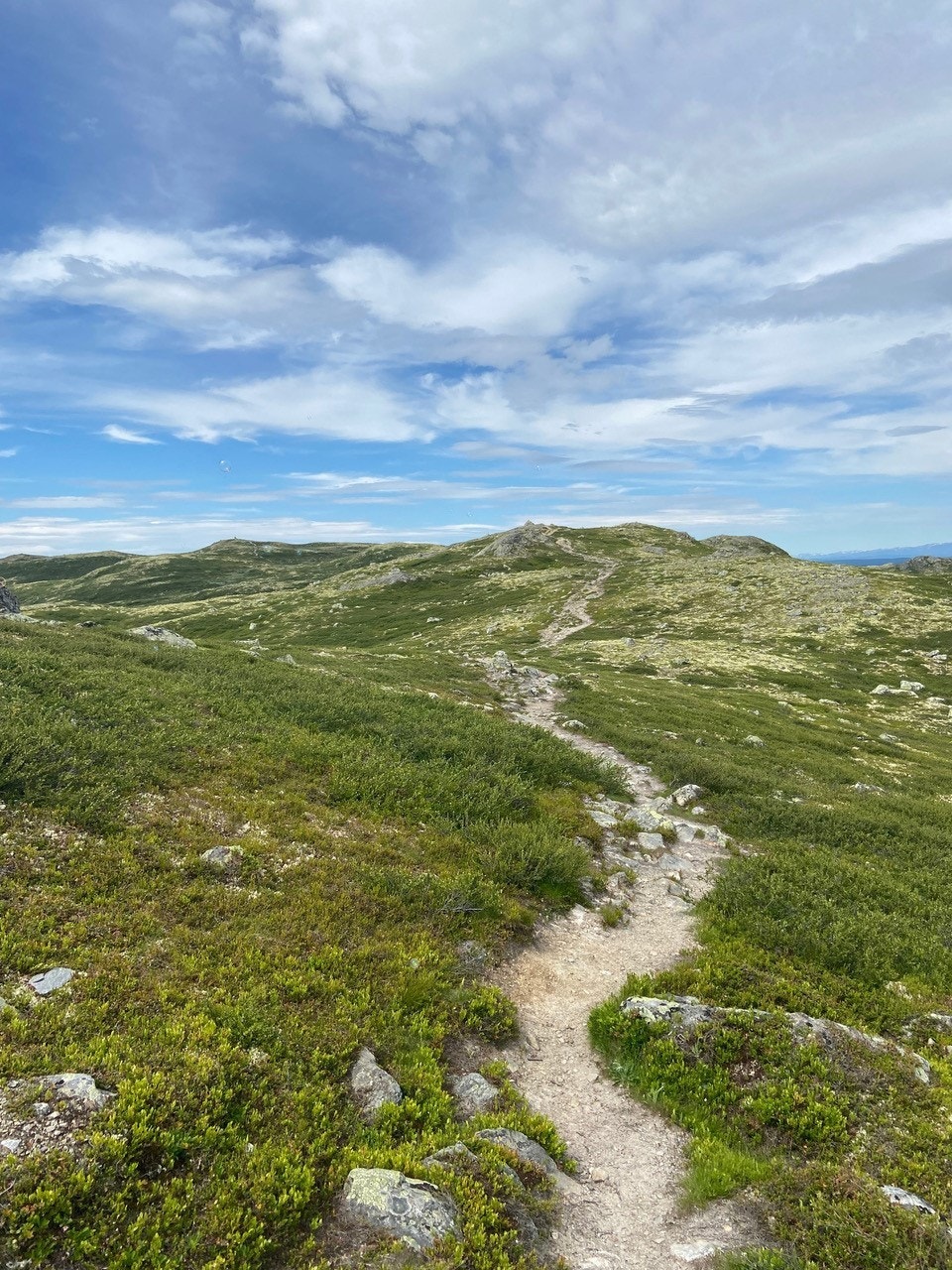 Ut på tur, mil etter mil med stier om sommeren. Galleribilde