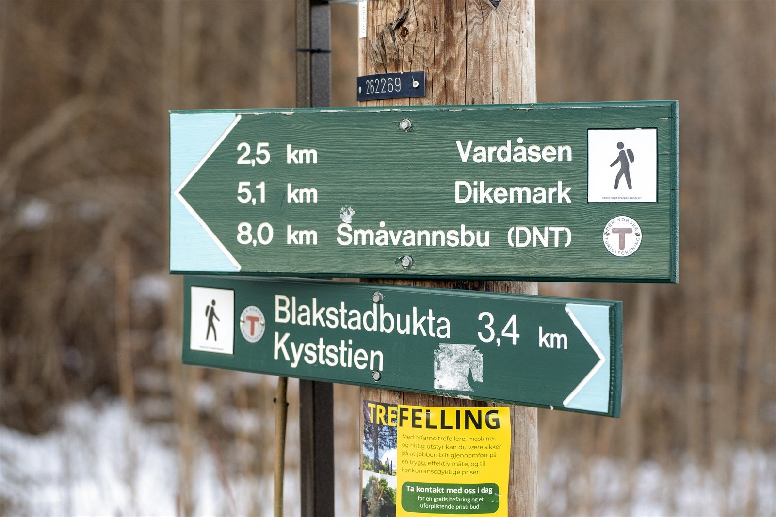 Gode tur-, trening- og rekreasjonsmuligheter fra boligen. Galleribilde