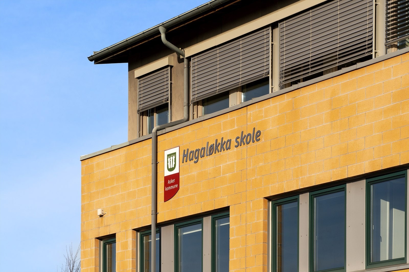 Boligen sogner til Hagaløkka barneskole... Galleribilde