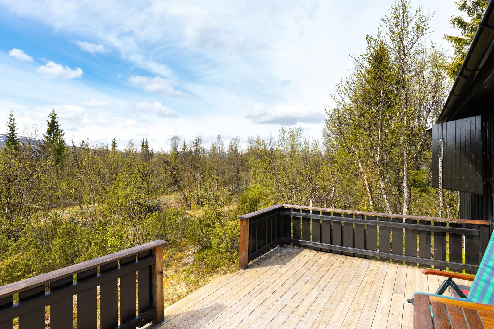 Her kan man gå rett fra hytta og inn i mange fine turterreng Galleribilde