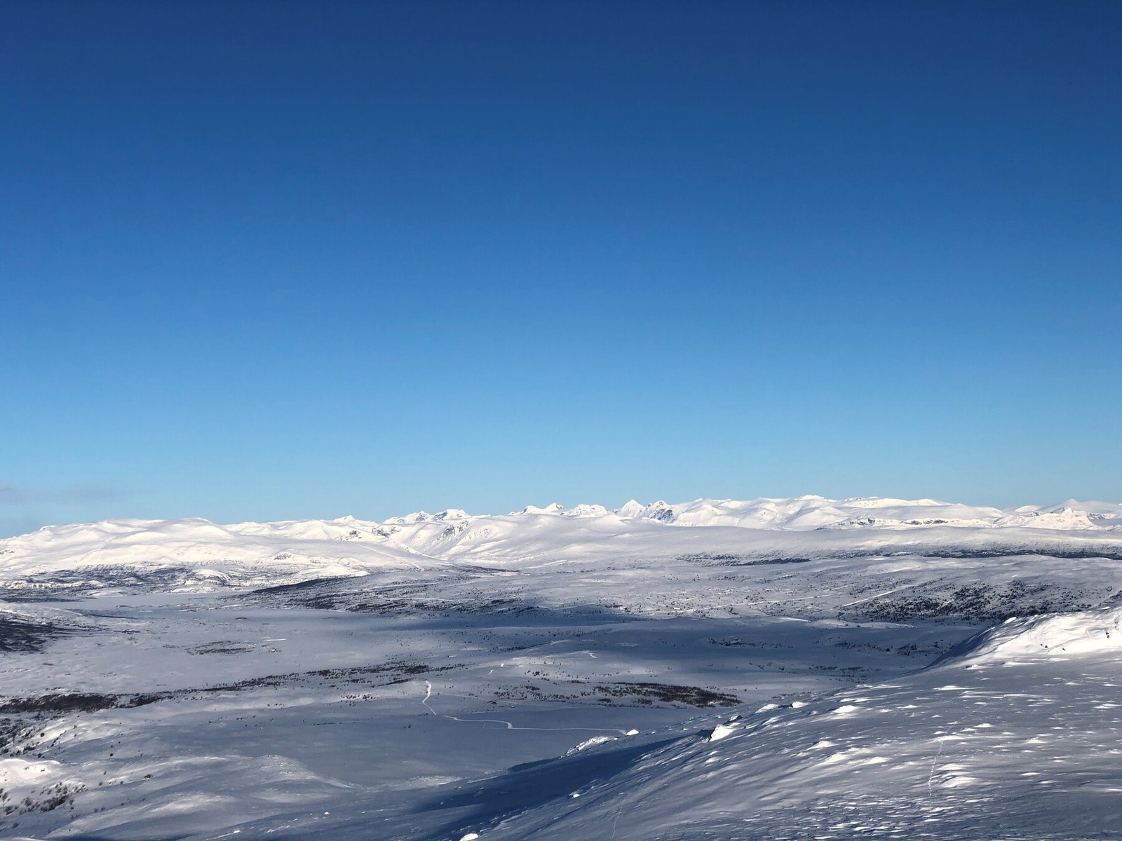 Det har også blitt populært med randonee-turer både til Grønsennknippa, Gråkampen og Skogshorn - får å nevne noen. Man kan leie randoneeutstyr på Intersport Vaset. Galleribilde