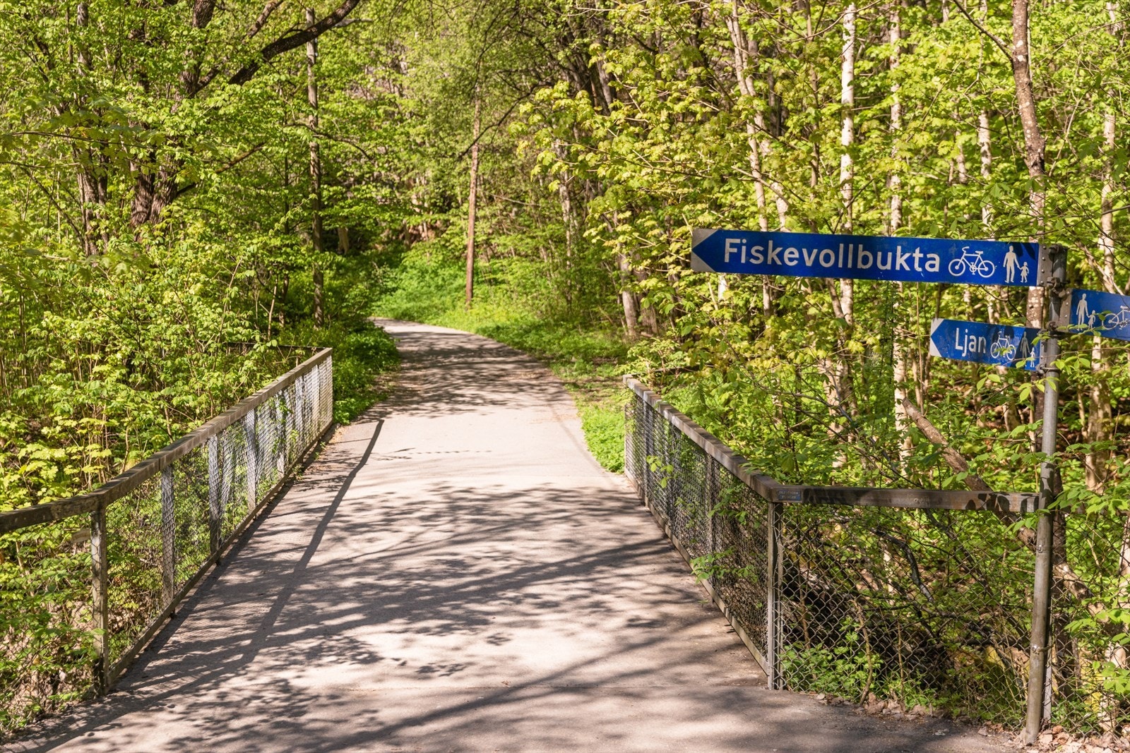 Nærområdet. Galleribilde