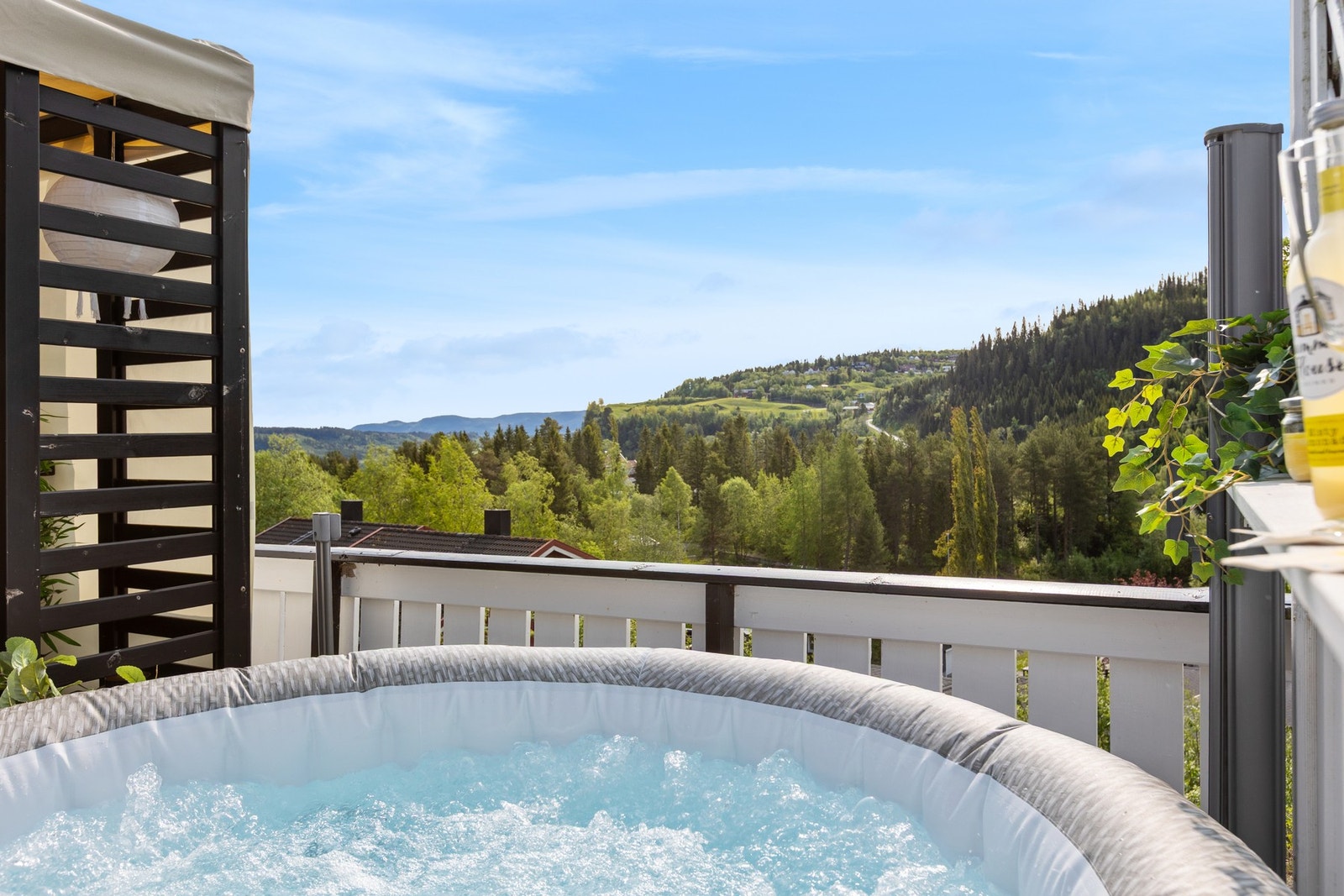 Flott utsikt. Galleribilde