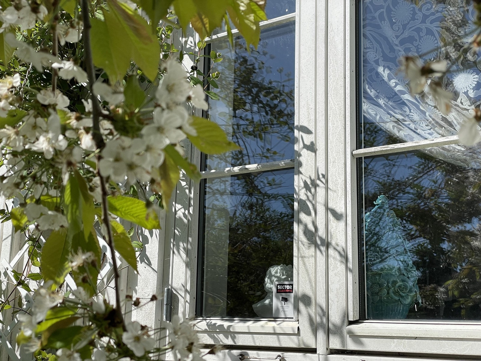 Privatbilde Galleribilde