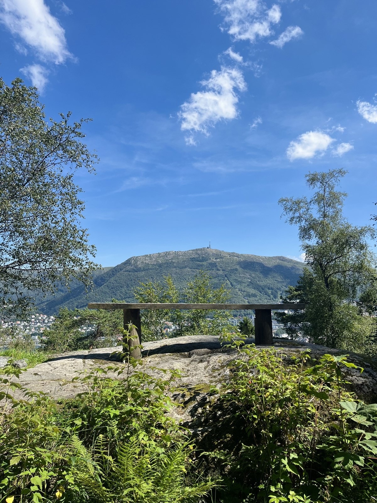 Løvstakken Galleribilde