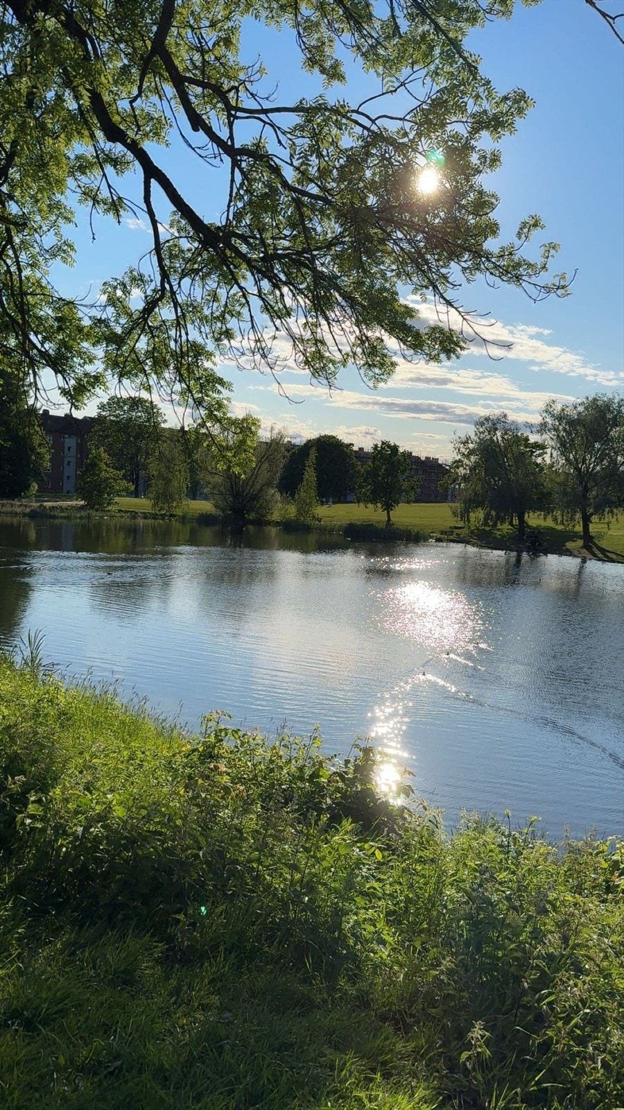 Hovindammen (selgers bilde). Galleribilde