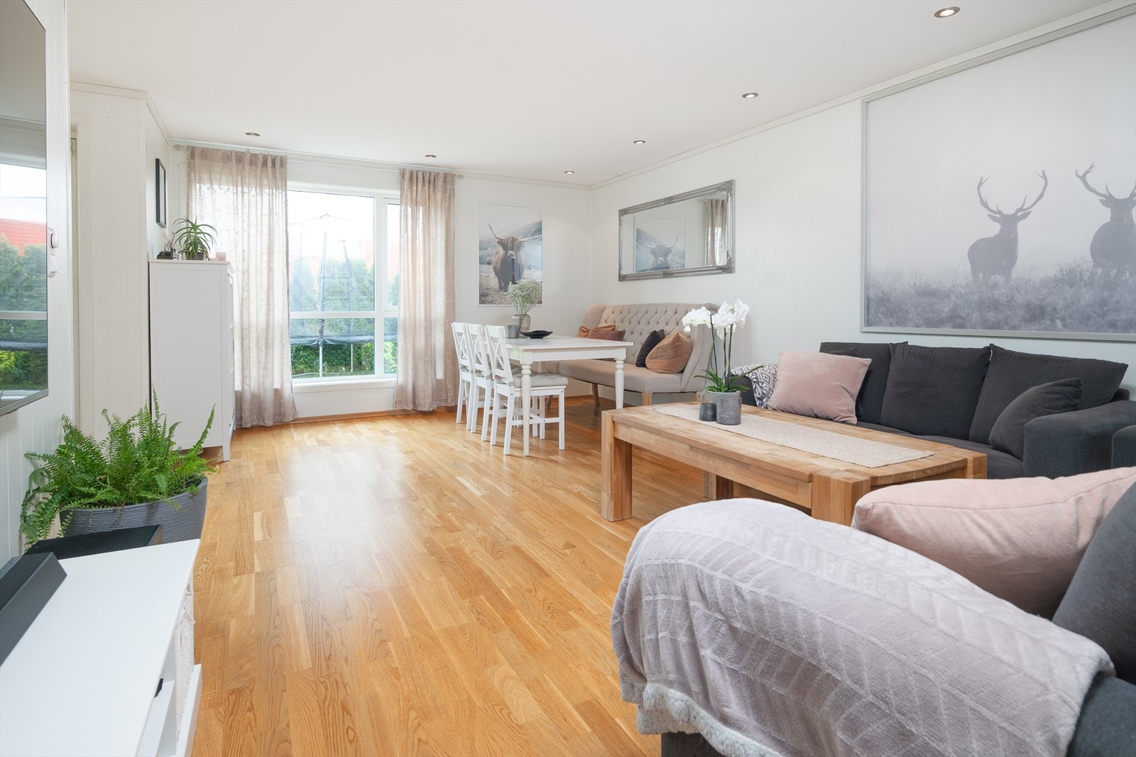 Store vindusflater gir godt med naturlig lys Galleribilde