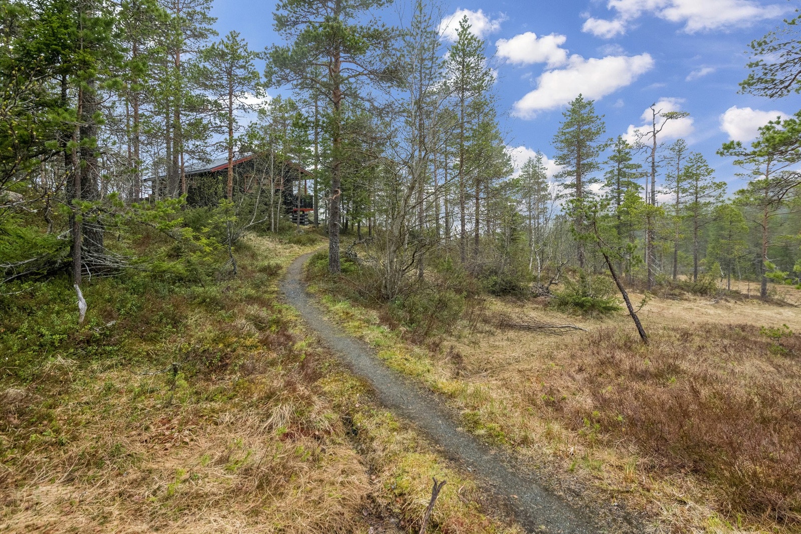 Sti helt frem til hytta. Galleribilde